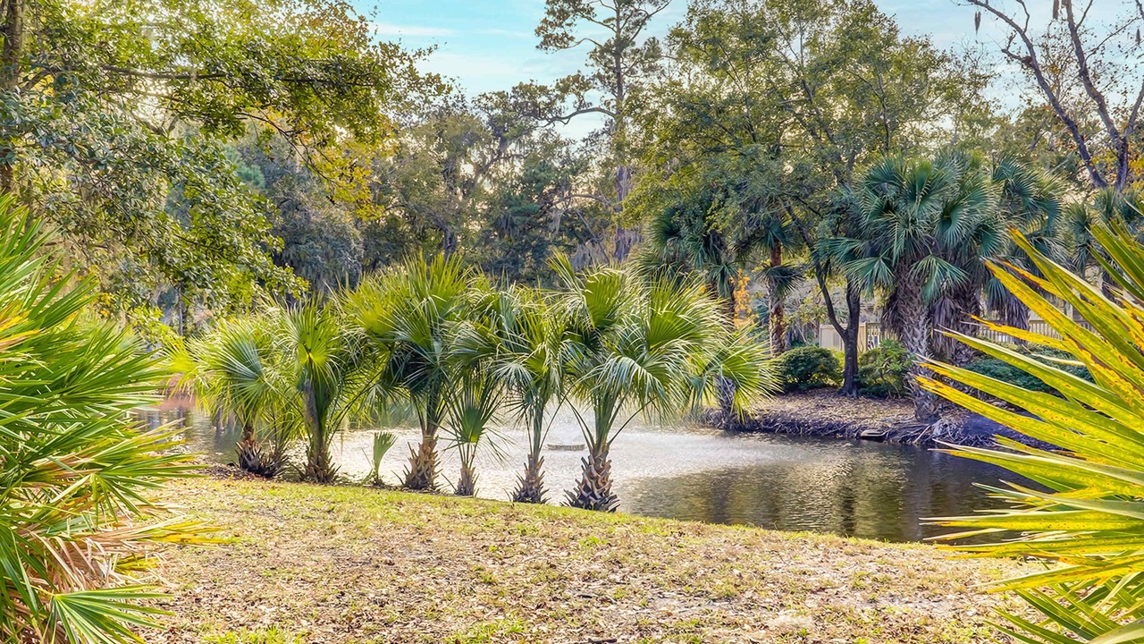 Photo of Outdoor in Shipyard Plantation