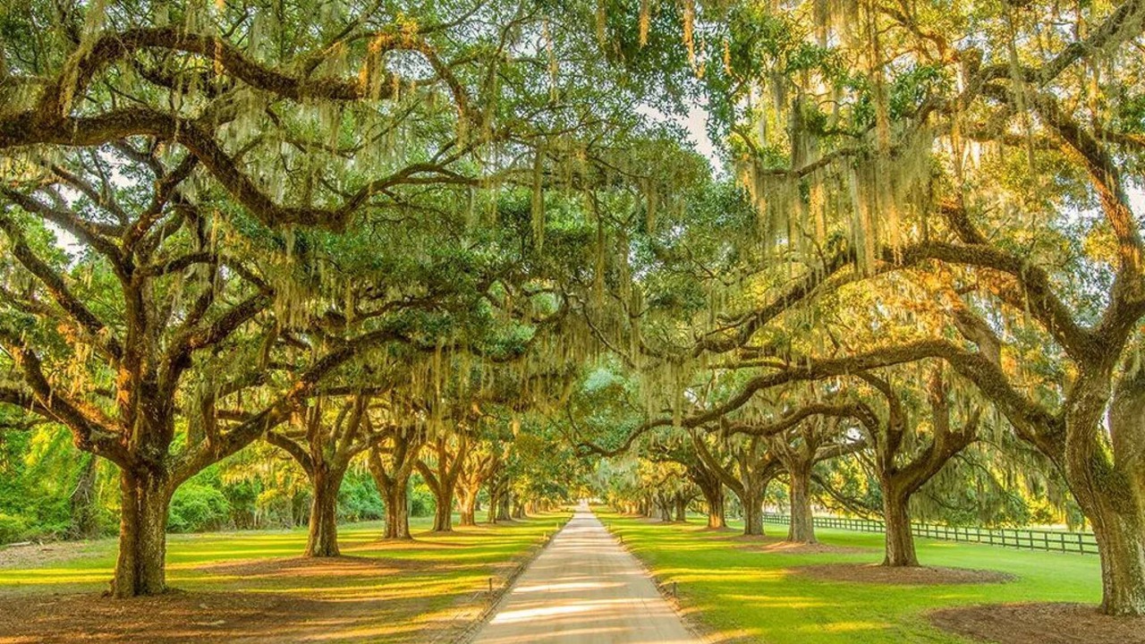 Photo of Others in Charleston
