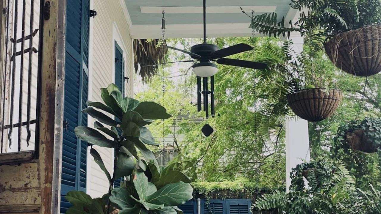 Photo of Outdoor in Treme