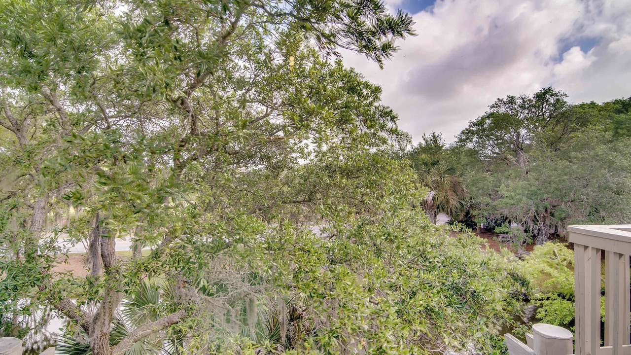 Photo of Outdoor in Isle of Palms