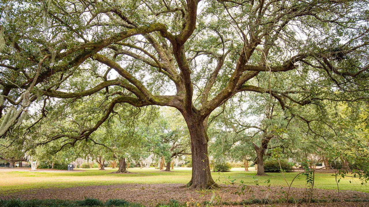 Photo of Others in Kiawah Island