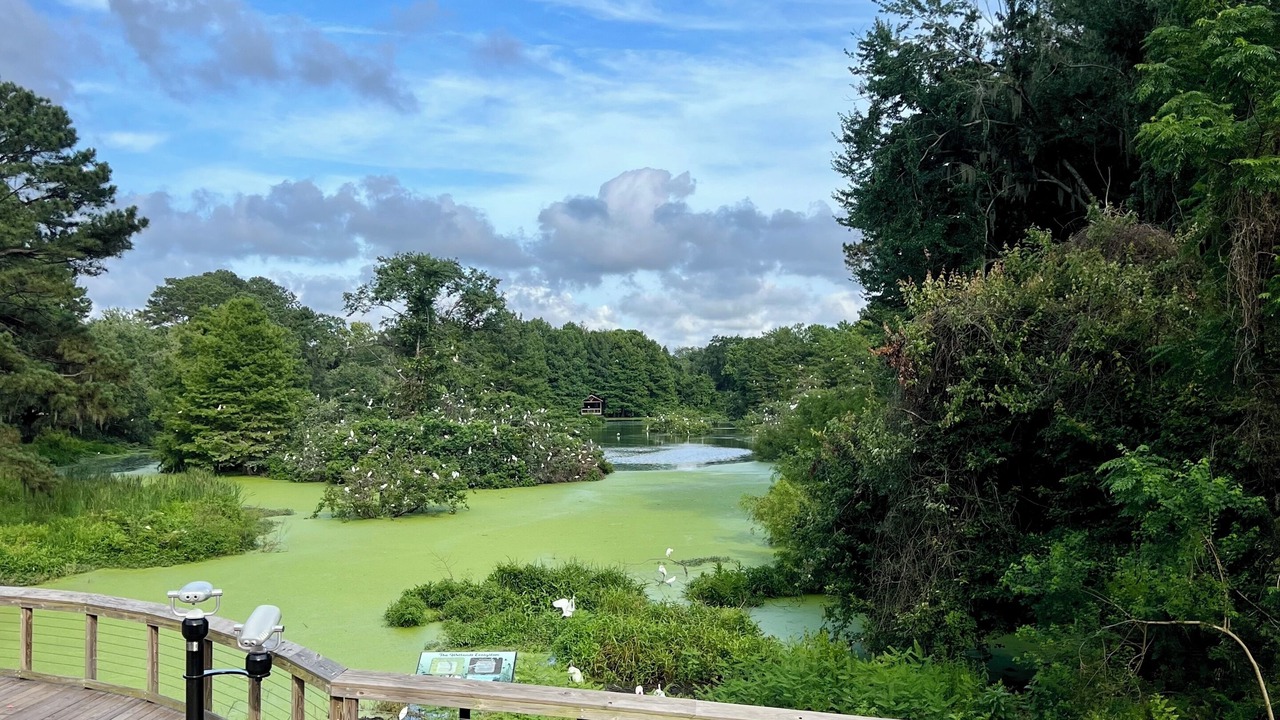 Photo of Outdoor in Port Royal