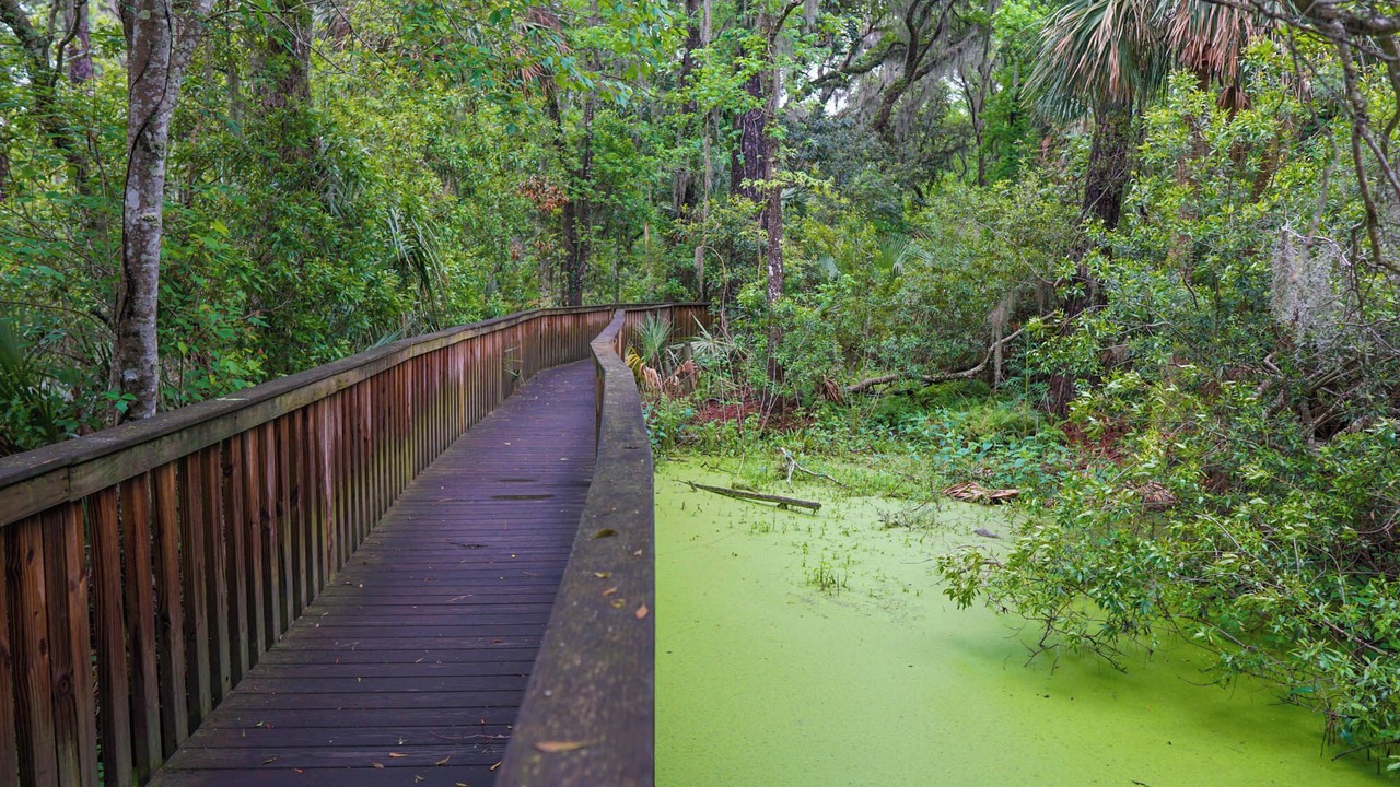 Photo of Others in Palmetto Dunes