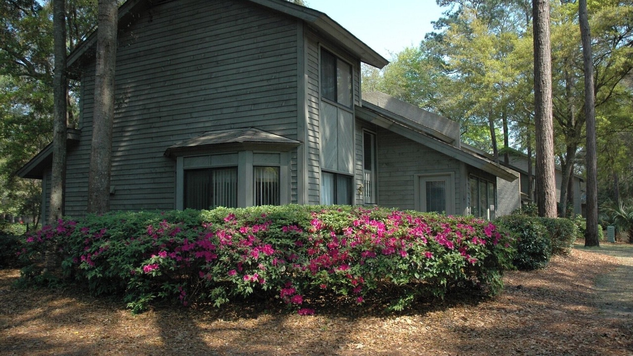 Photo of Outdoor in Shipyard Plantation