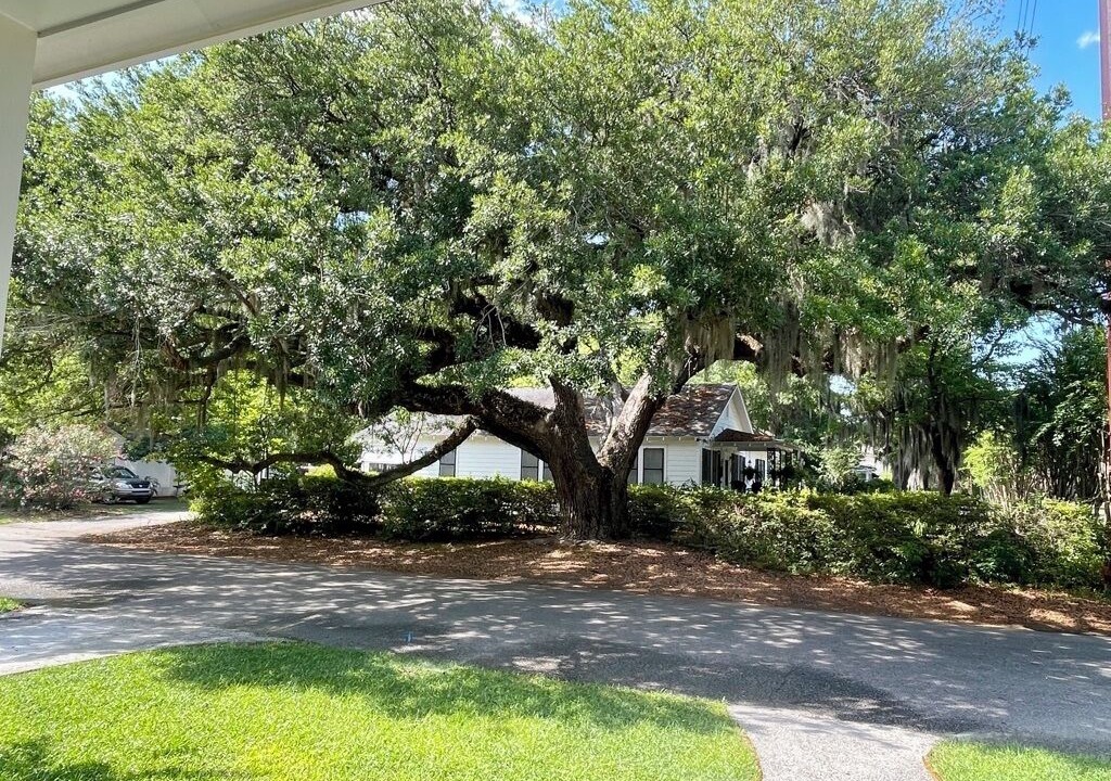 Photo of Outdoor in Uptown