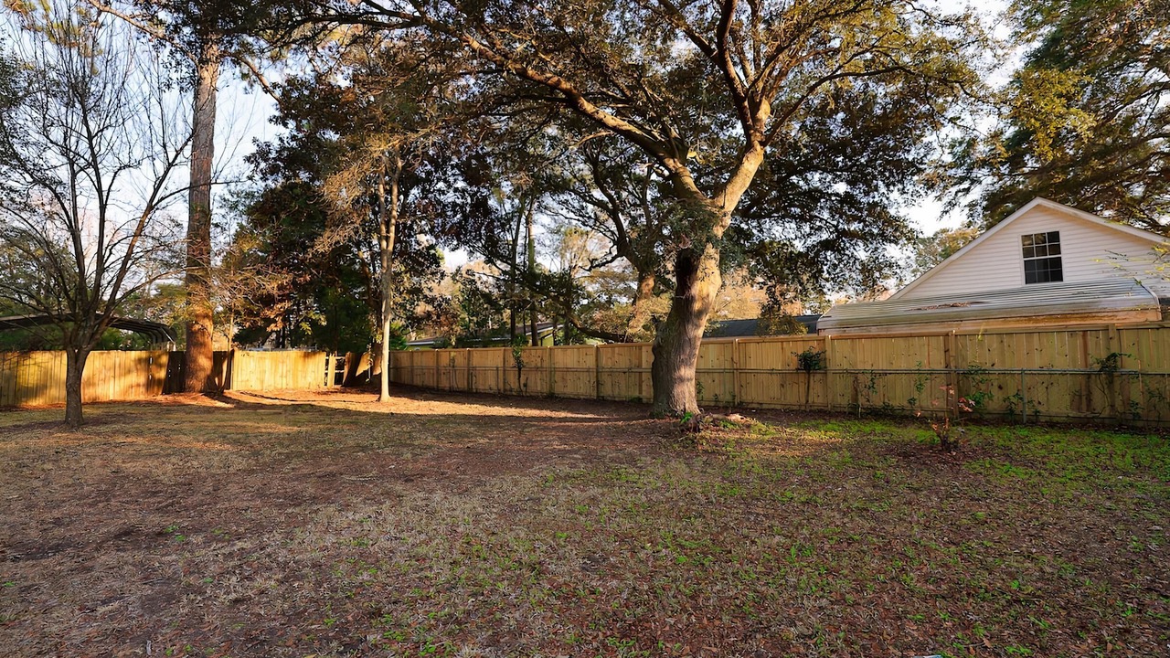 Photo of Outdoor in Charleston