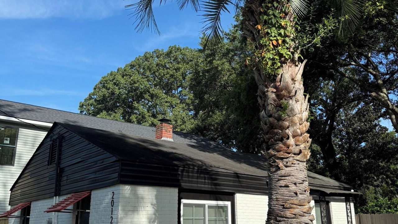 Photo of Outdoor in North Charleston