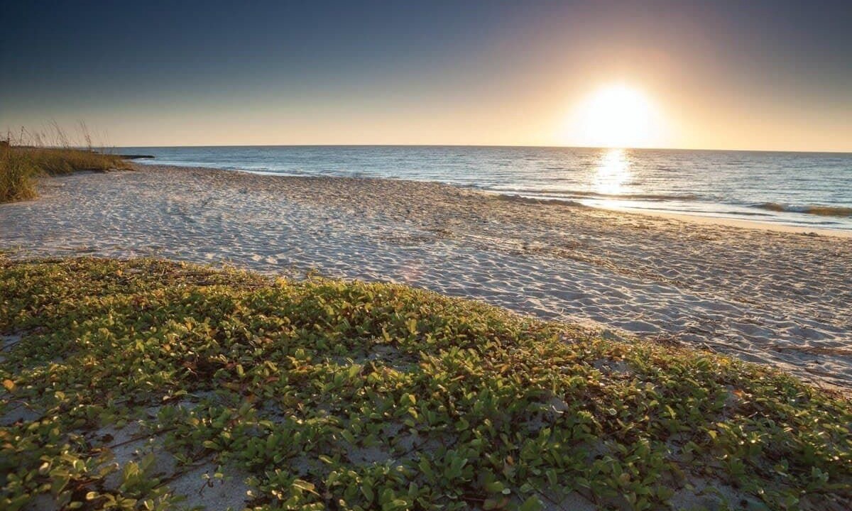 Photo of Others in Ocean Ridge
