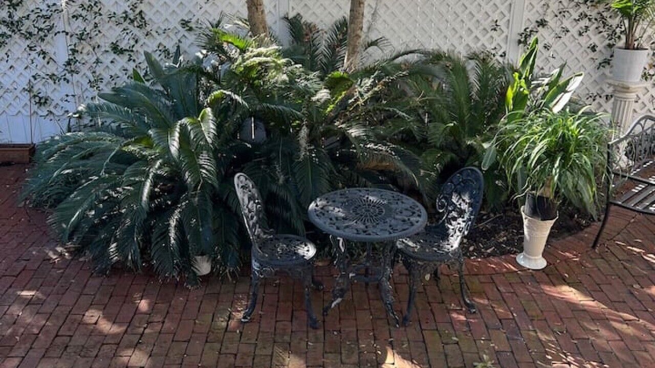 Photo of Outdoor in Thomas Square
