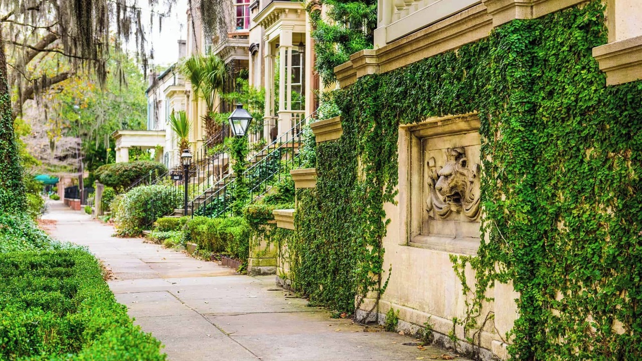 Photo of Outdoor in Savannah Victorian District