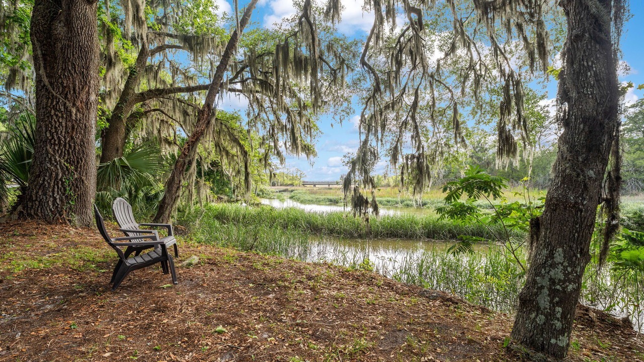 Photo of Outdoor in Savannah