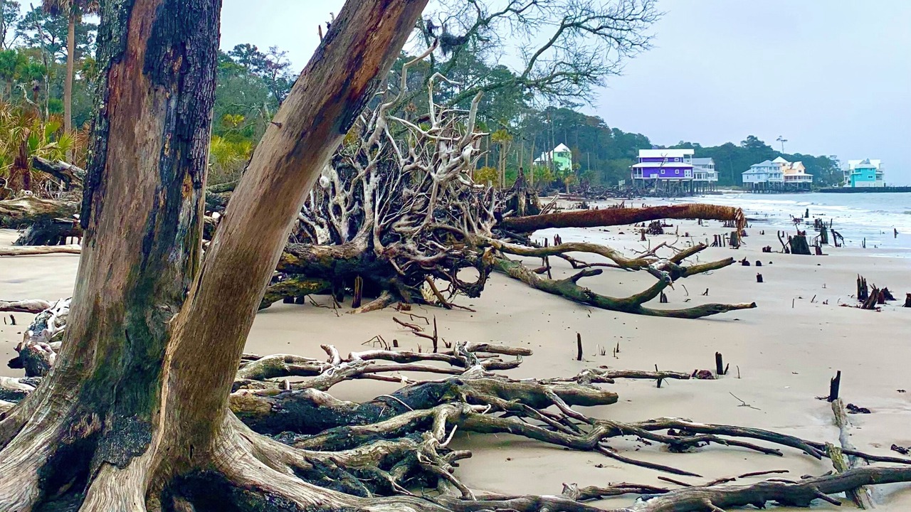 Photo of Others in Daufuskie Island