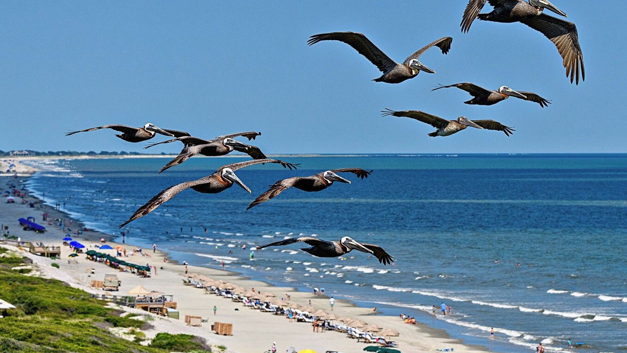 Photo of Others in Kiawah Island