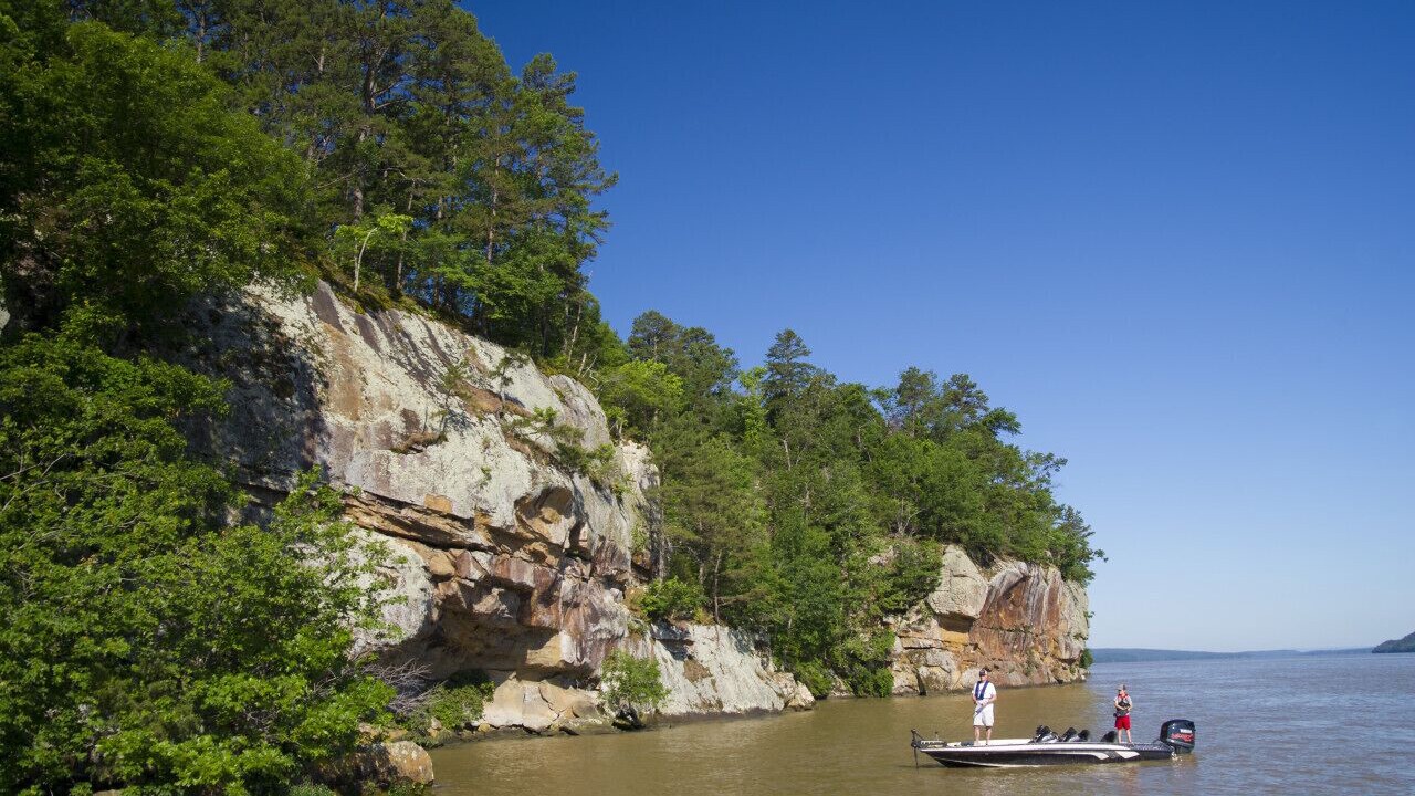 Photo of Others in Dardanelle