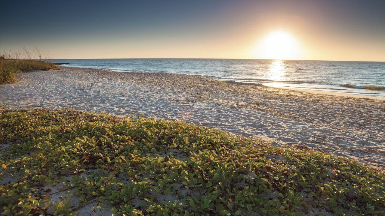 Photo of Others in Ocean Ridge