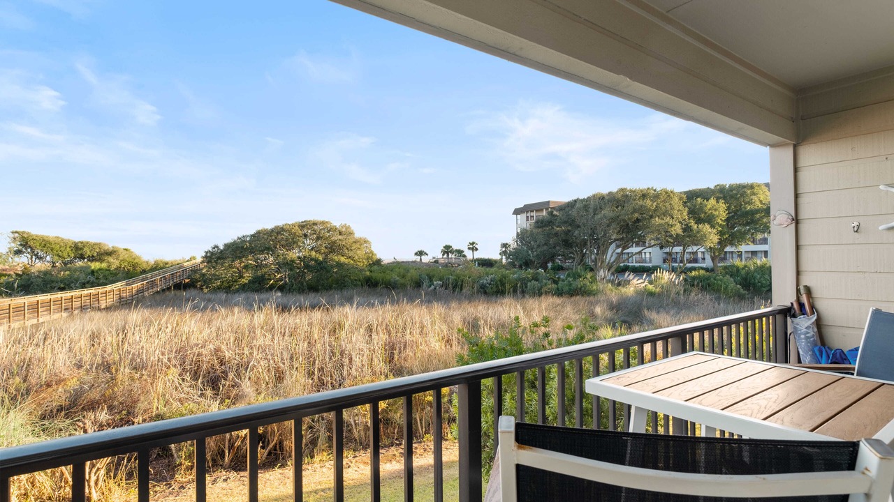Photo of Outdoor in Folly Field