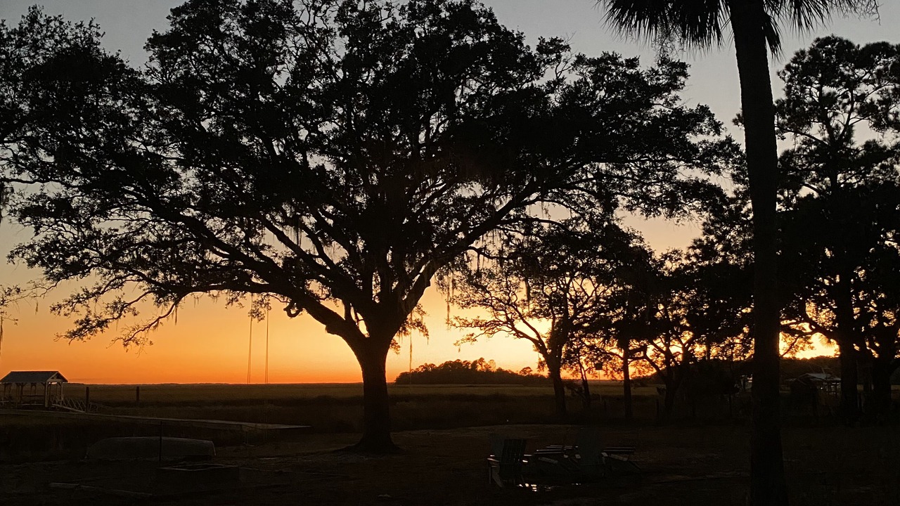 Photo of Others in Edisto Island
