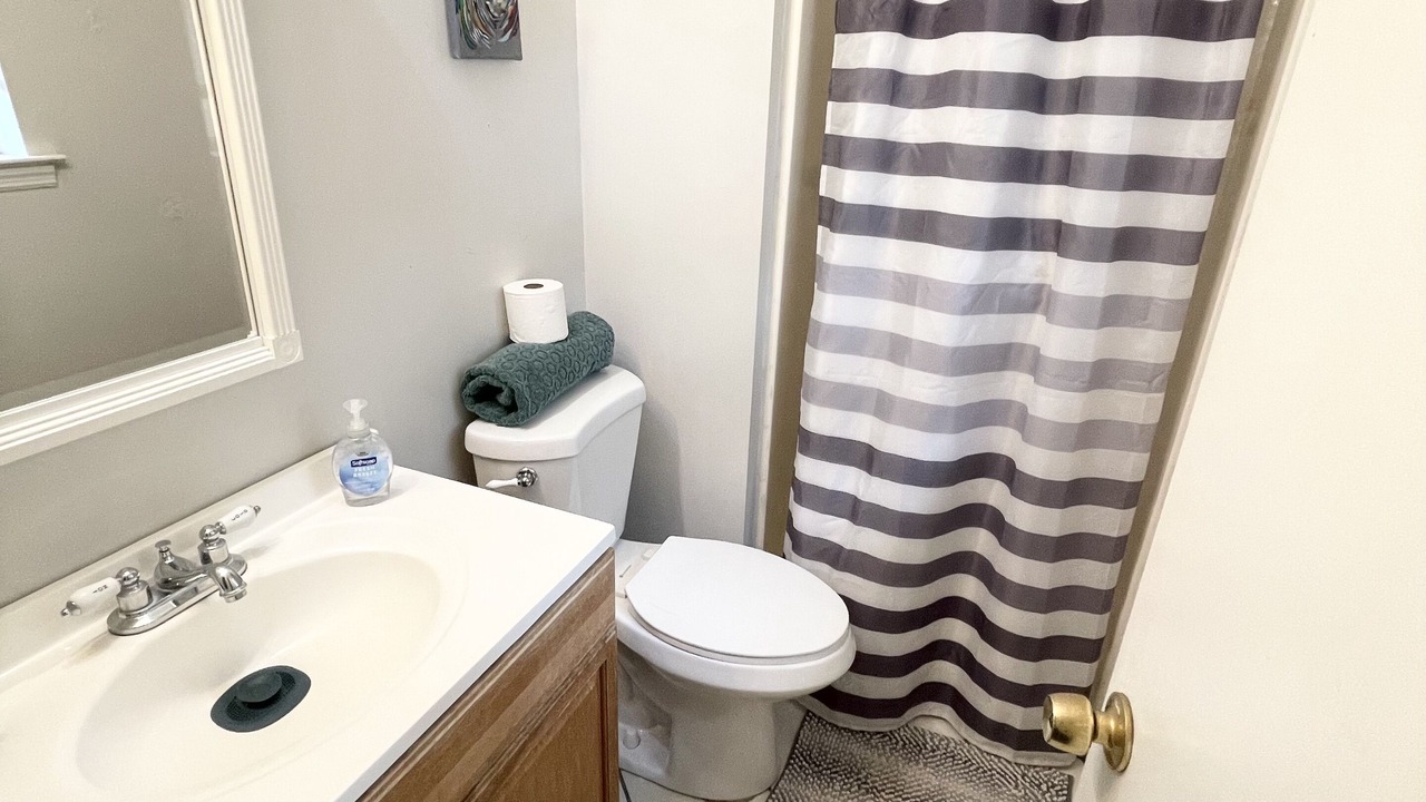 Photo of Bathroom in Whitemarsh Island