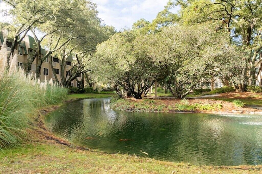 Photo of Outdoor in Palmetto Dunes