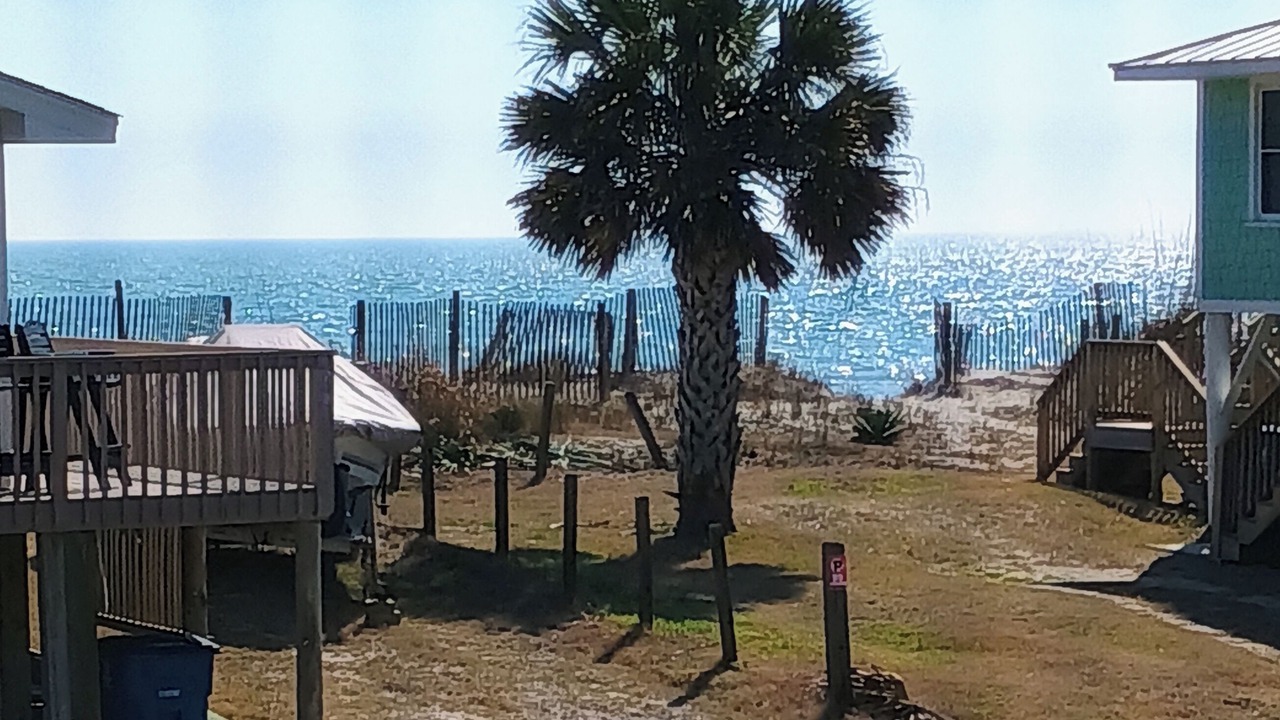 Photo of Outdoor in Edisto Island