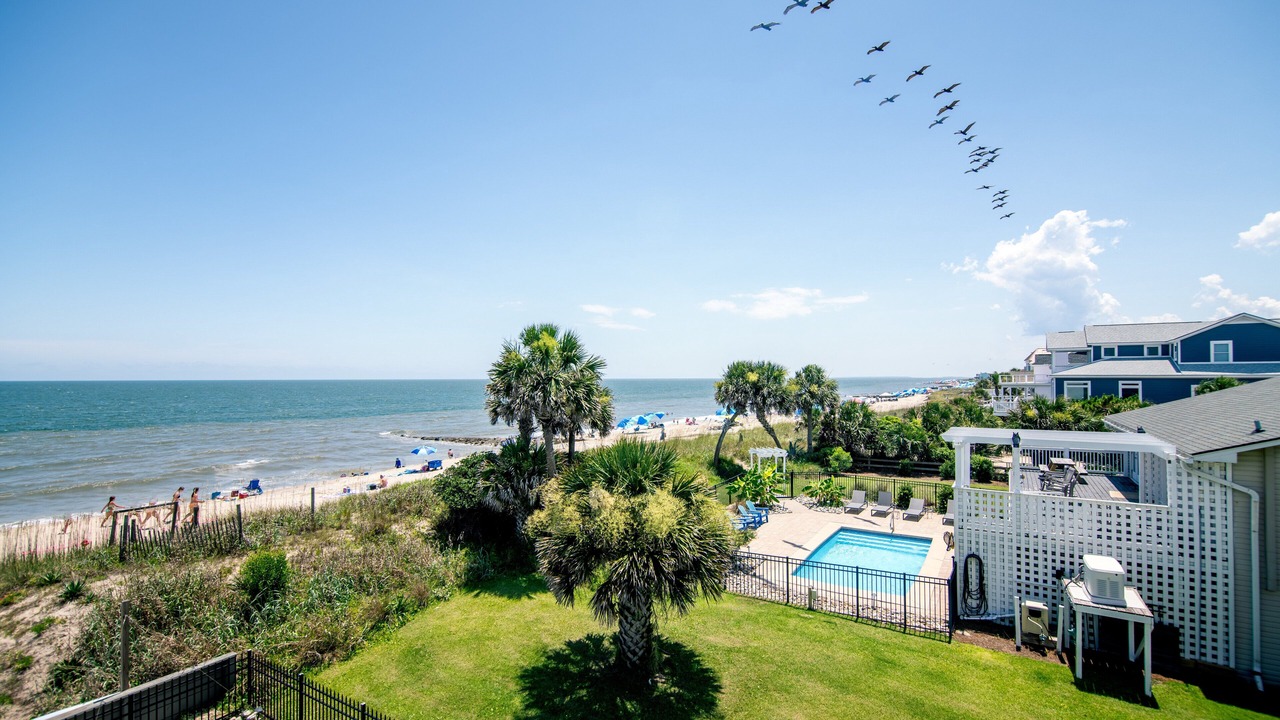 Photo of Outdoor in Edisto Island