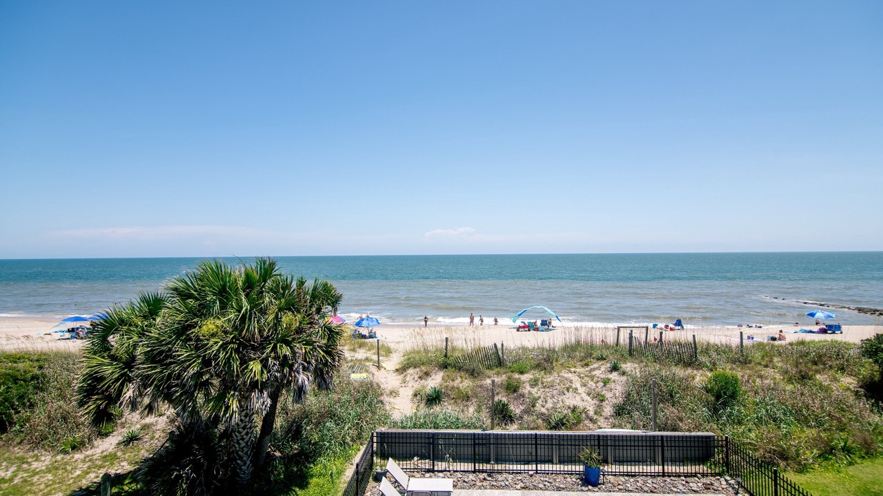 Photo of Others in Edisto Island