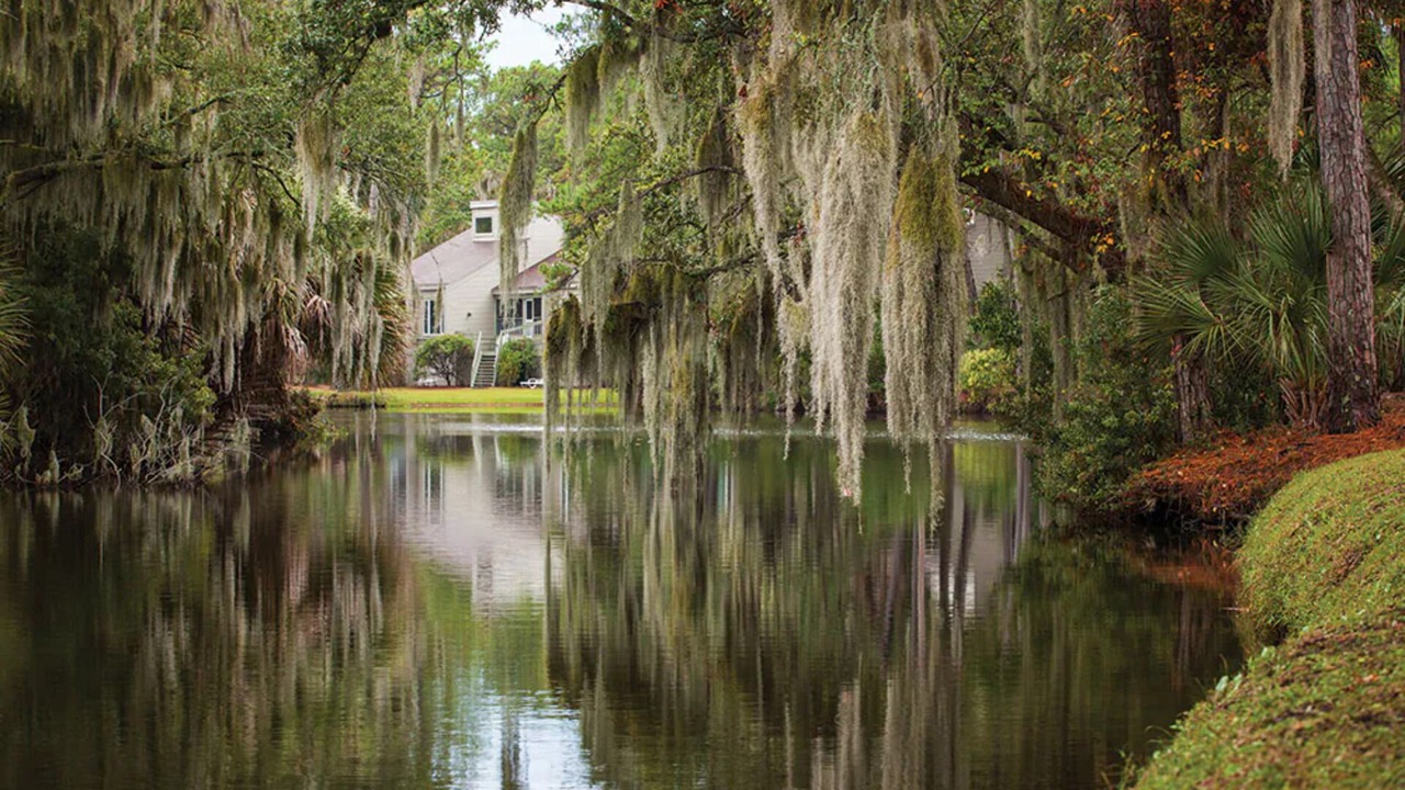 Photo of Outdoor in Ocean Ridge