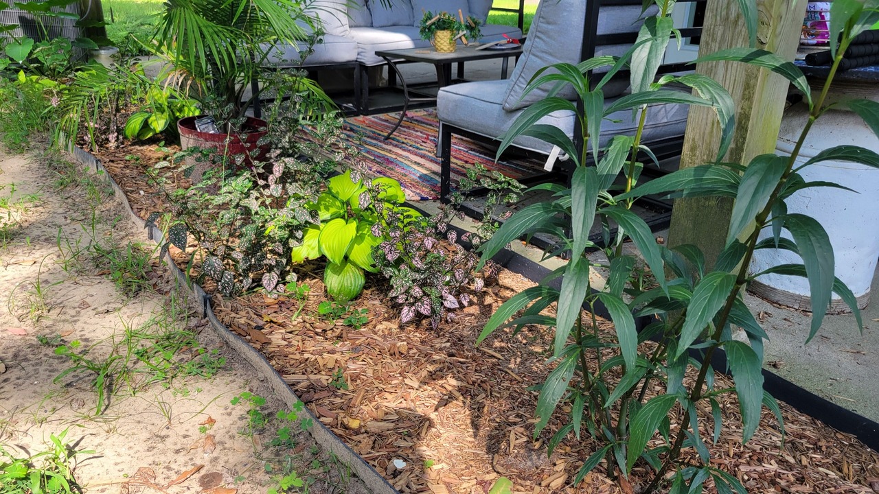 Photo of Outdoor in Hollywood