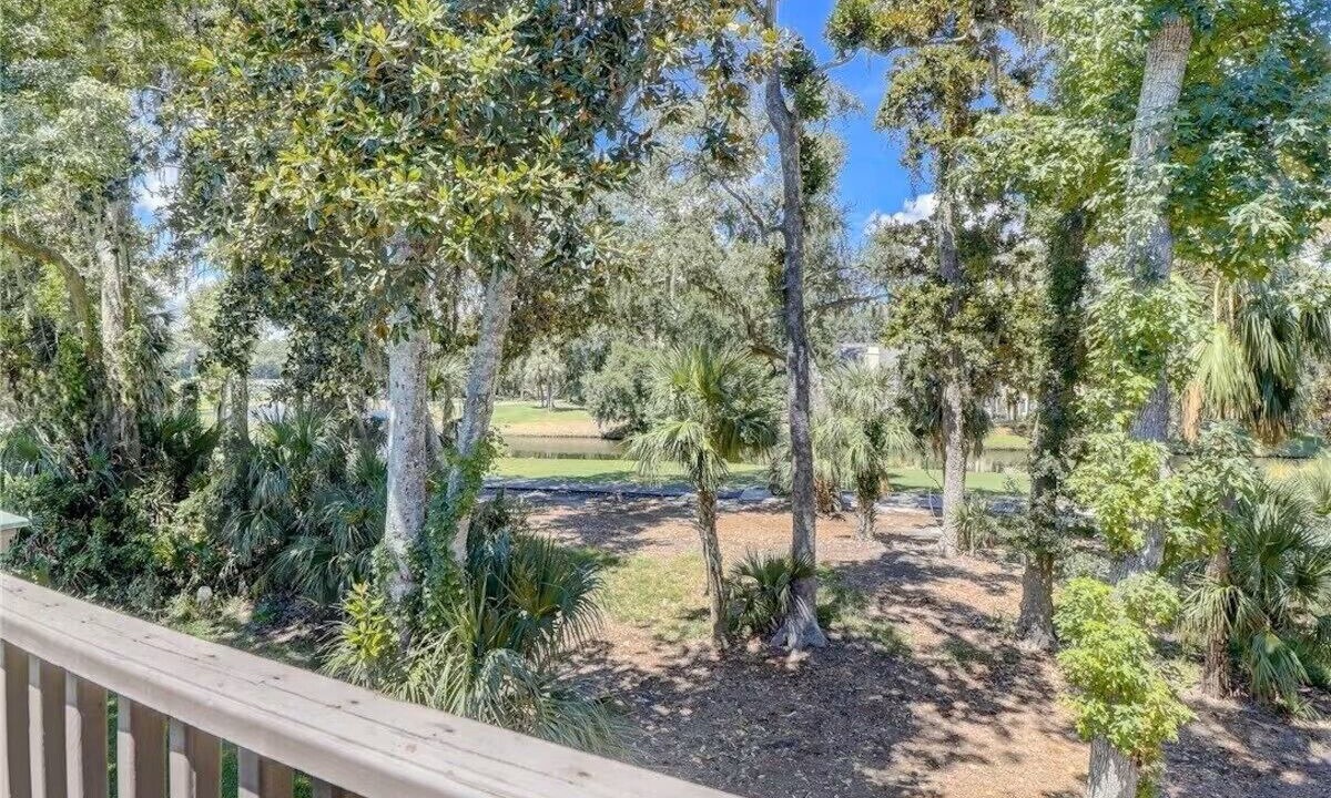 Photo of Outdoor in Shipyard Plantation