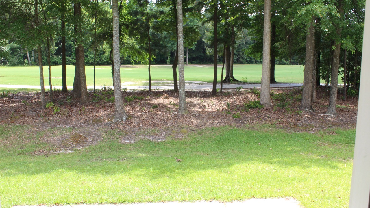 Photo of Outdoor in Summerville