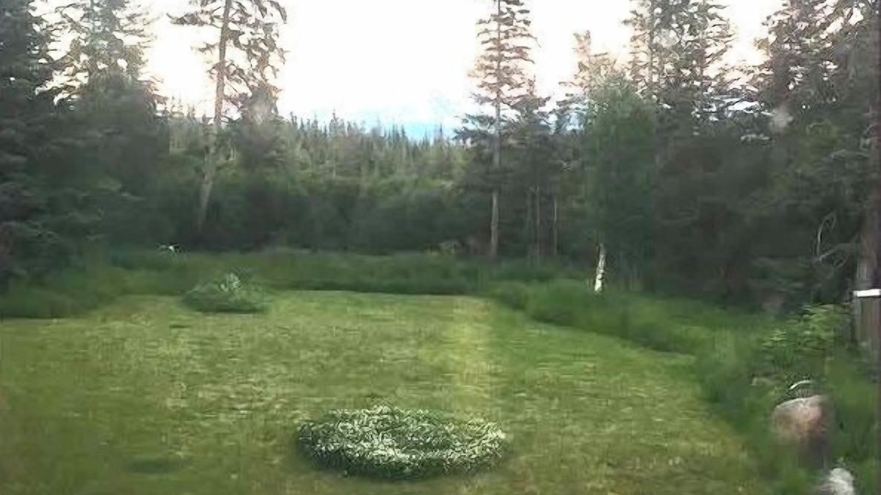 Photo of Outdoor in Fritz Creek
