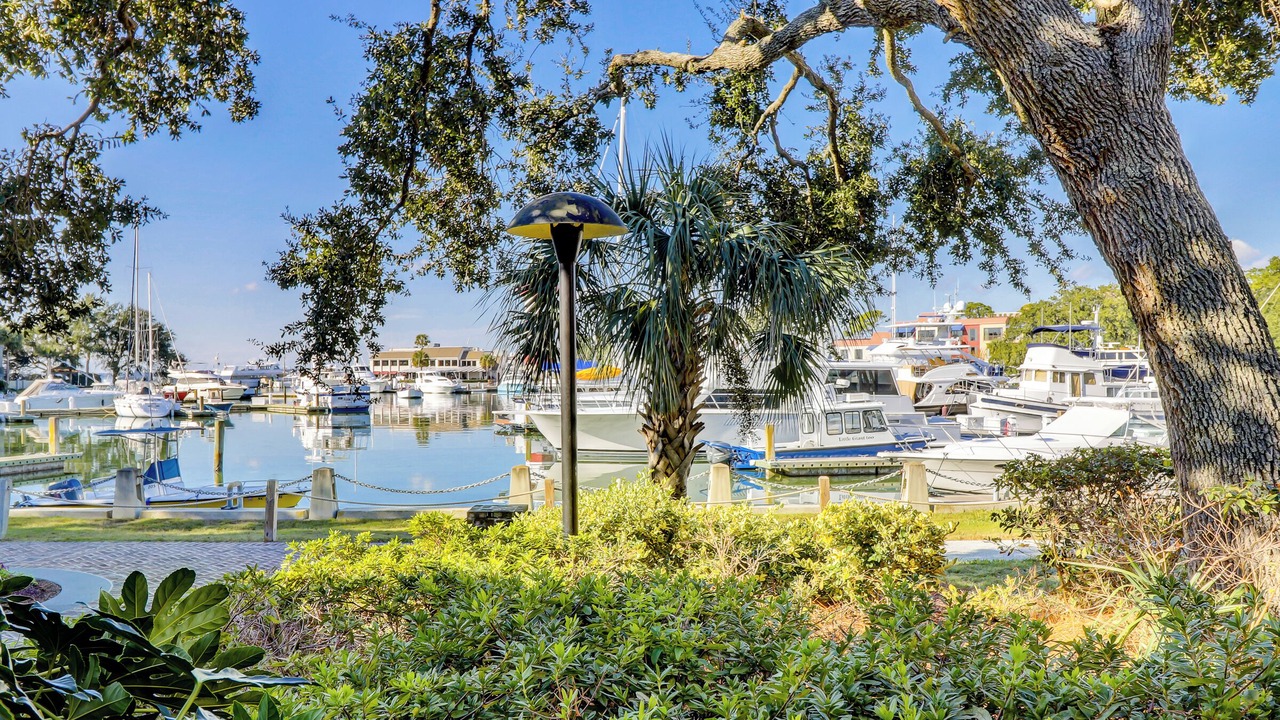 Photo of Others in Harbour Town