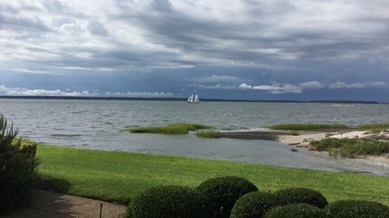Photo of Others in Harbour Town