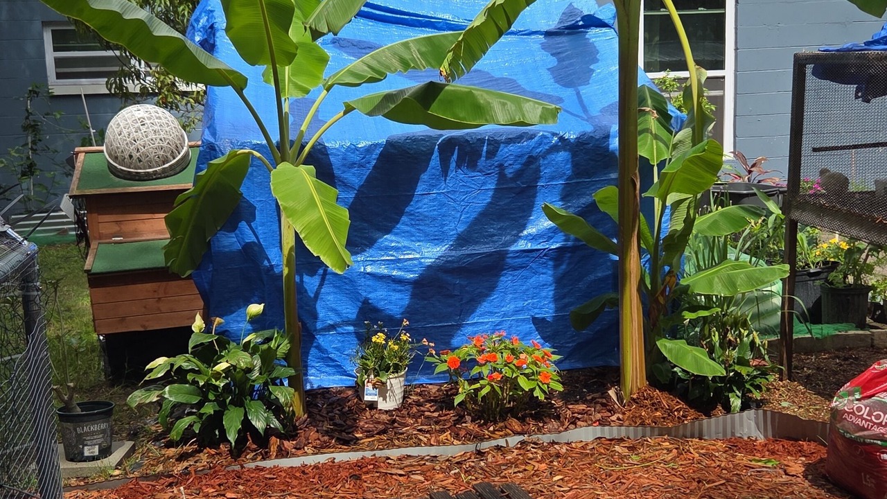Photo of Outdoor in Southwest Orlando
