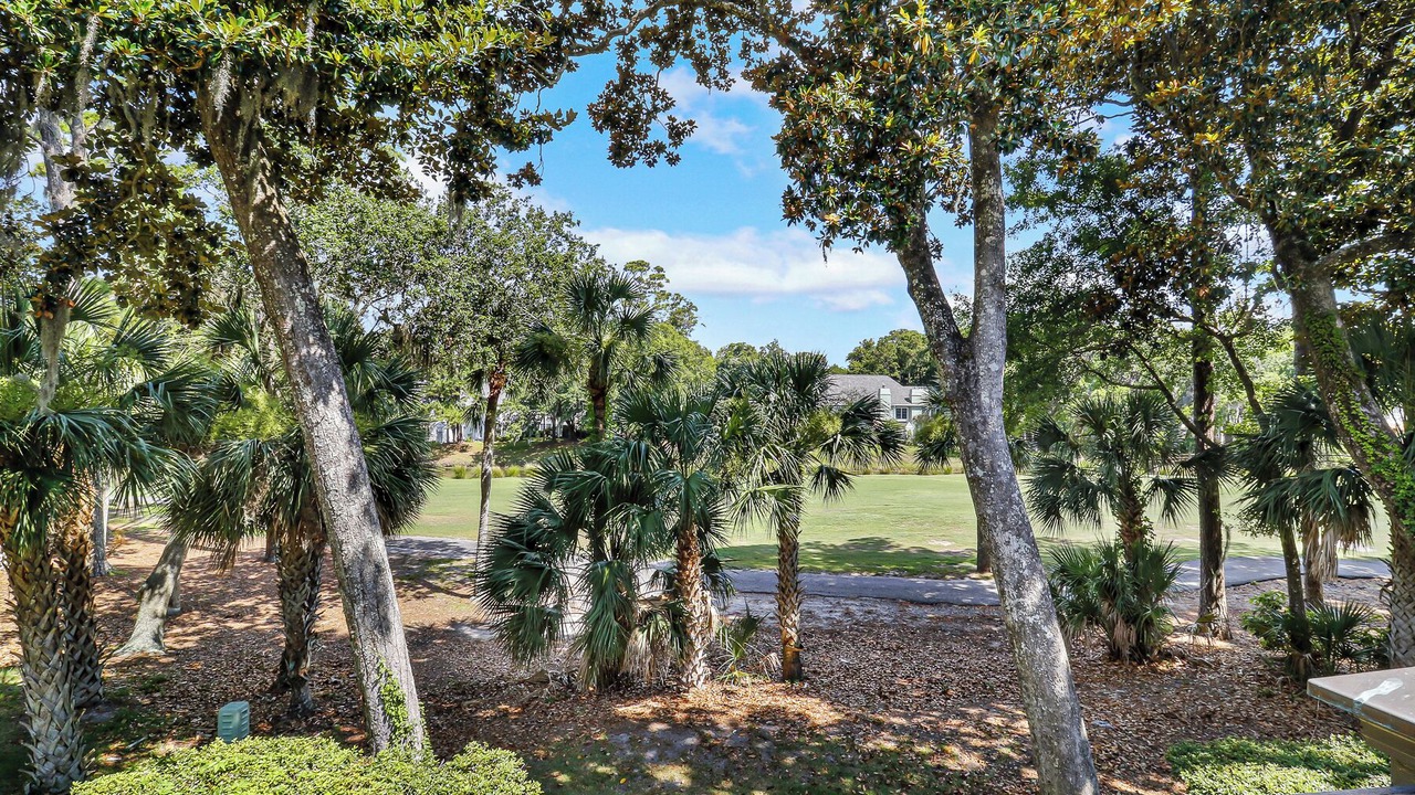 Photo of Outdoor in Shipyard Plantation