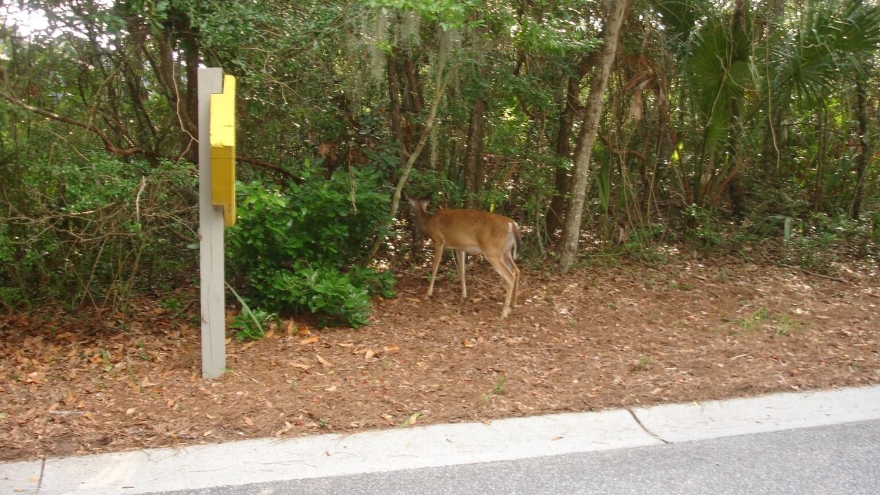 Photo of Others in West Beach Village