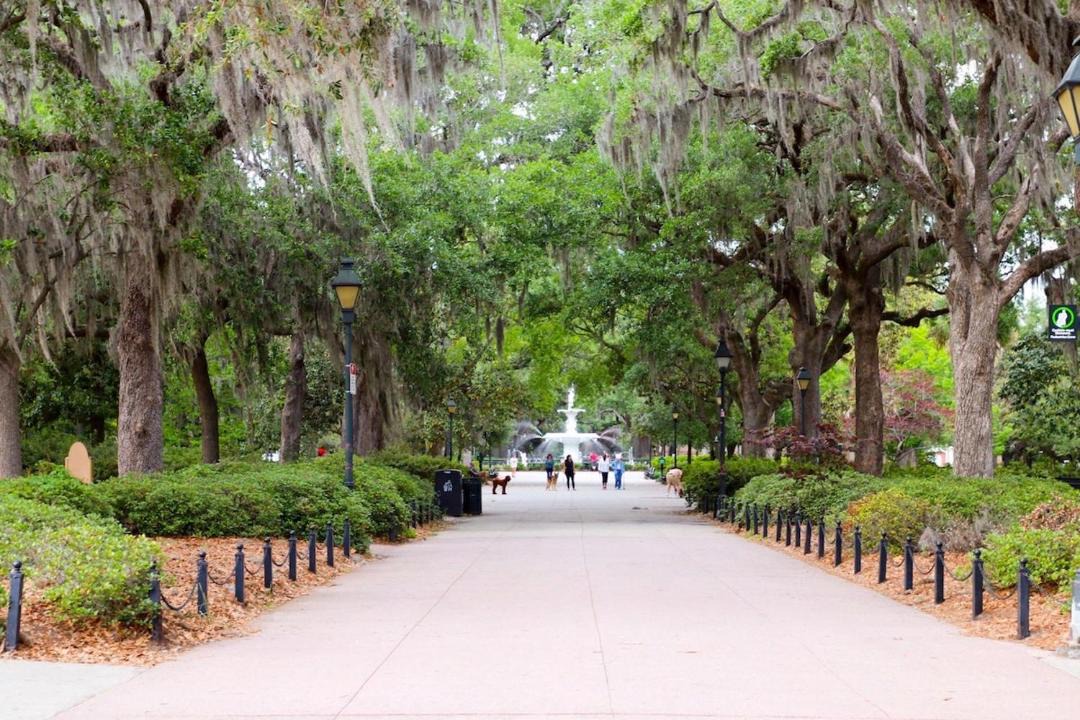 Photo of Others in Savannah Victorian District