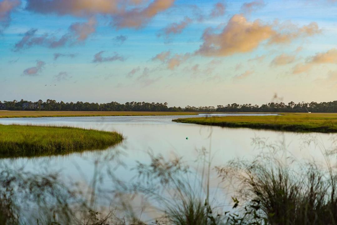 Photo of Others in Kiawah Island