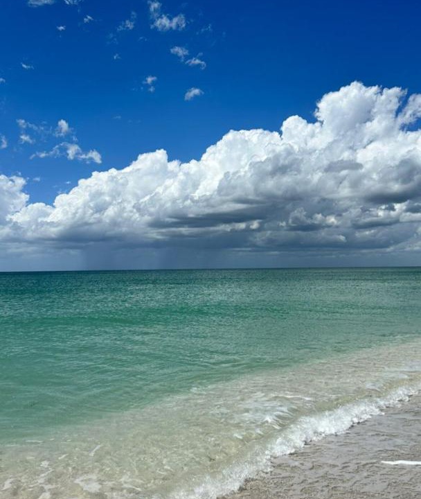 Photo of Others in Port Charlotte