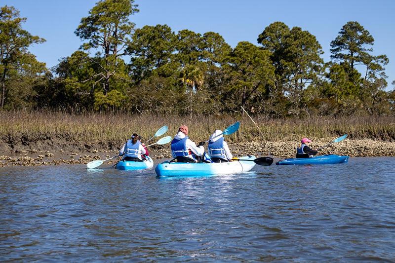 Photo of Others in Saint Helena Island