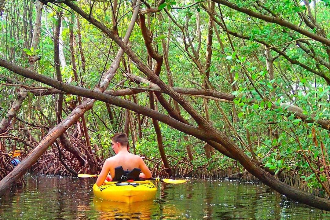 Photo of Others in Siesta Key