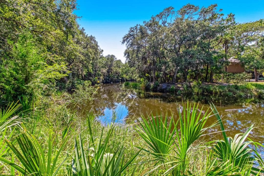 Photo of Others in Kiawah Island
