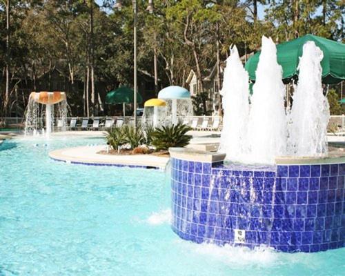 Photo of Outdoor in Palmetto Dunes