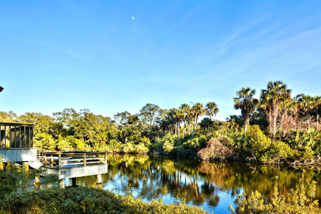 Photo of Others in Kiawah Island