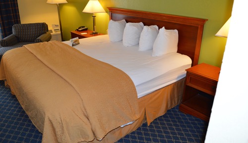 Room, 1 King Bed, Non Smoking