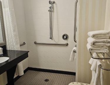 King Suite with Roll-In Shower - Mobility Access