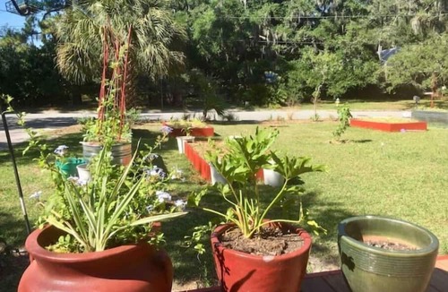 Midtown Cottage | This is not an active listing A Little Bit Country in Savannah - Monthly stays