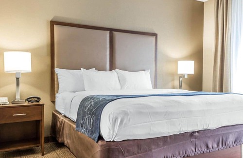 Mount Pleasant Hotel | Comfort Suites at Isle Of Palms Connector