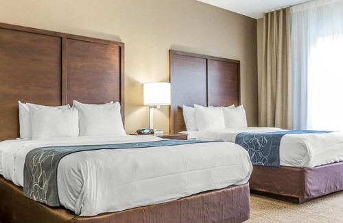 Mount Pleasant Hotel | Comfort Suites at Isle Of Palms Connector