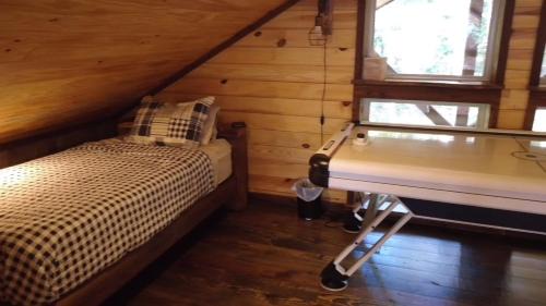 Board Camp House | The Knotty Pine Cabin at Cabins of Wolf Pen Gap